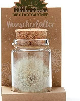 Die Stadtgärtner - exauceur de souhaits I vrai pissenlit dans un verre I éternellement durable I idée cadeau parfaite pour chaque occasion I cadeau pour les anniversaires, les mariages, la fête des mères, Pâques, etc.