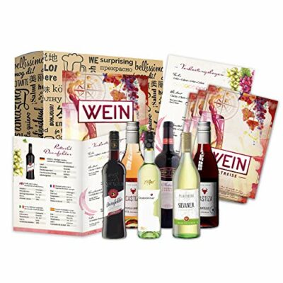 Cadeau tour du monde du vin 6x0,25l comme coffret de dégustation pour les buveurs de vin Des vins rouges et blancs de première classe à essayer pour une boîte à vin d'anniversaire