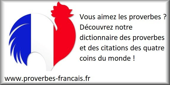 59 proverbes et proverbes quotidiens