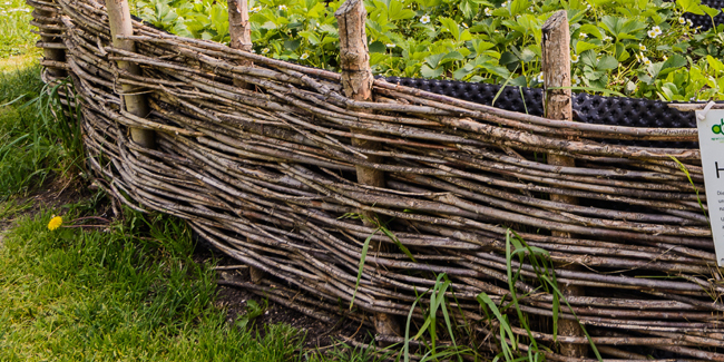 Comment faire une bordure en bois tressée ?