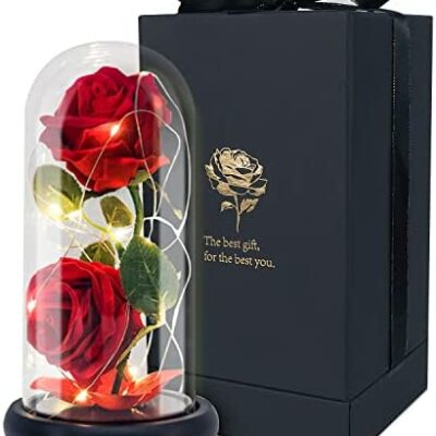 La Belle et la Bête Rose Coffret Cadeau, Rose en Soie Rouge et Lumière LED avec Pétales Tombés Cadeaux pour la Décoration Principale, Saint Valentin, Anniversaire pour Elle, Anniversaire, Anniversaire de Mariage, Jour de Noël