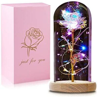 QUNPON Roses éternelles La Belle et la Bête Rose Kit dans un dôme en verre Lumières LED Fleurs artificielles Rose Cadeaux pour femme Maman Cadeau pour la fête des mères Anniversaire Saint Valentin Noël