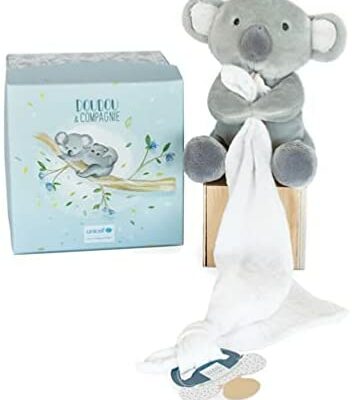 Doudou et Compagnie - Mouchoir tétine Koala Doudou - 12cm - Gris - Boîte à fleurs - Idées cadeaux naissance - Bébé & Moi - UNICEF - DC3787