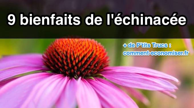 9 Bienfaits de l