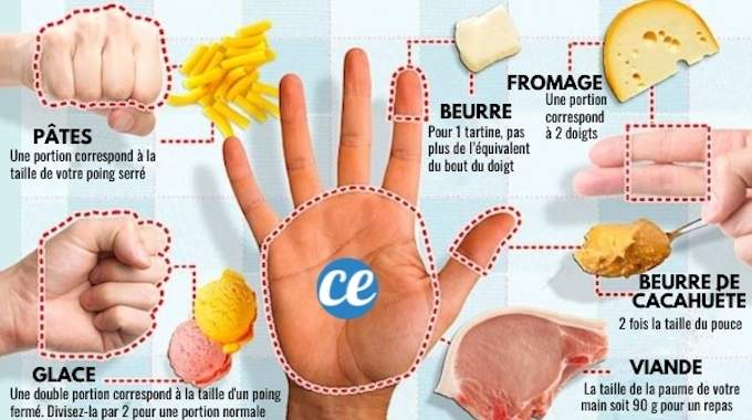 Voici les Bonnes Portions Alimentaires à Respecter Pour Maigrir.