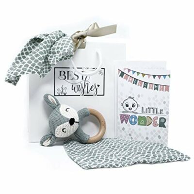 Coffret Cadeau Naissance Bébé - Coffret avec Sac Carte Anneau de Dentition Hochet Chiffon Burp Gant de Toilette 100% Coton |  Produits Jollein de haute qualité inclus |  Carte de vœux et sac cadeau (anneau de dentition vert)