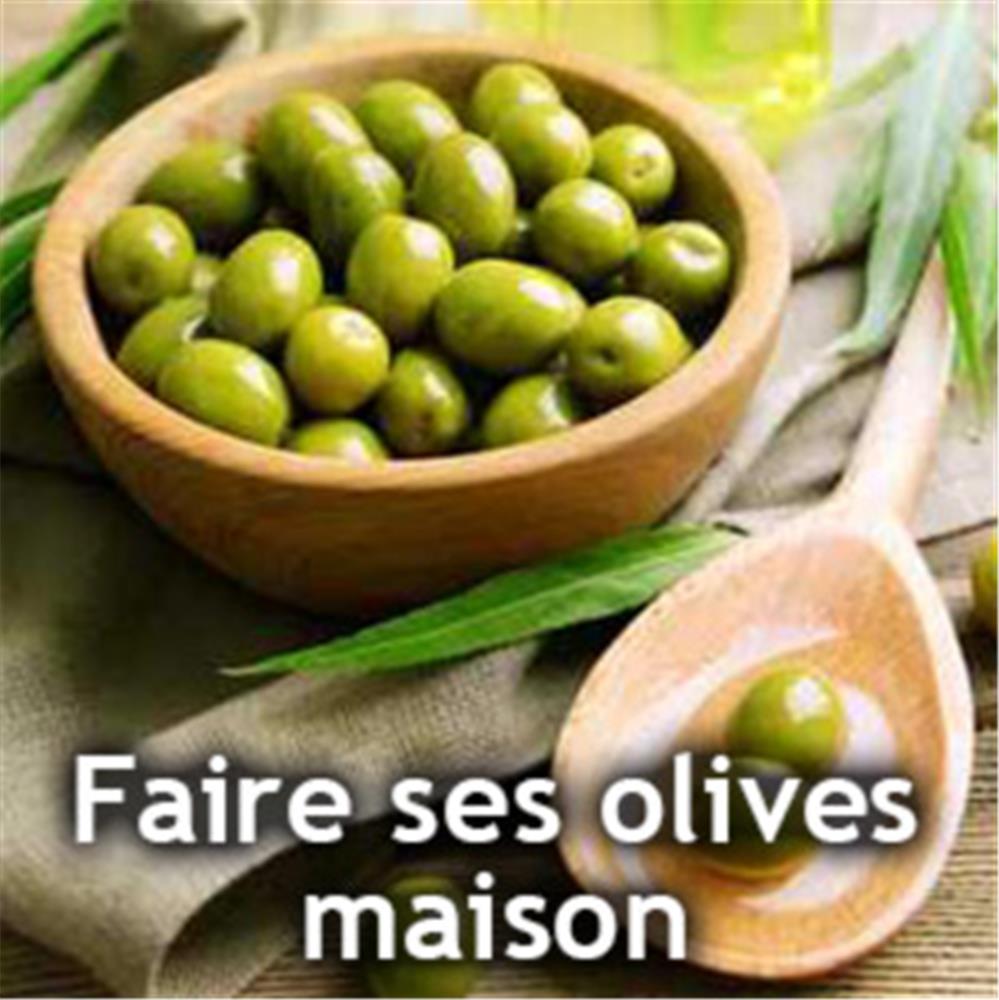 Faites vos olives vertes à la maison.