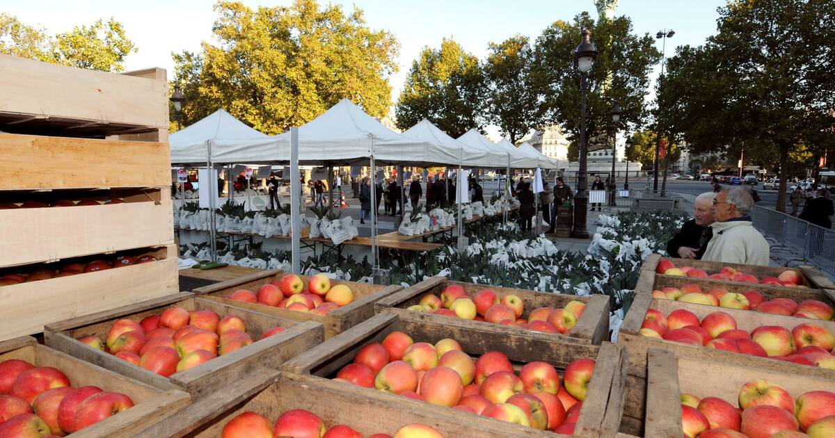 Le lavage des fruits et légumes dans un bain de bicarbonate de sodium élimine-t-il vraiment les pesticides ? - Libération