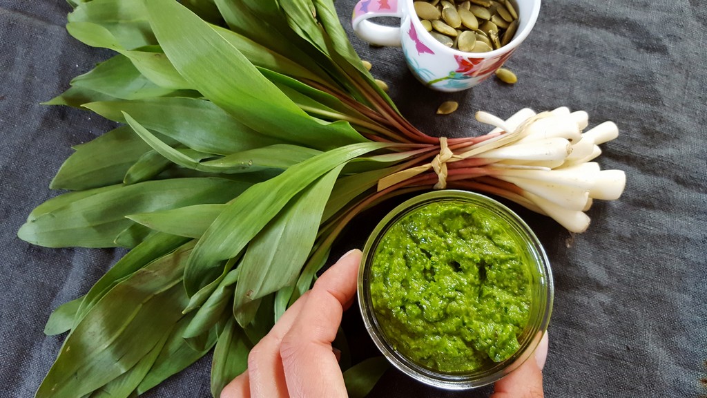 Pesto à l'ail des ours ou bêtise humaine