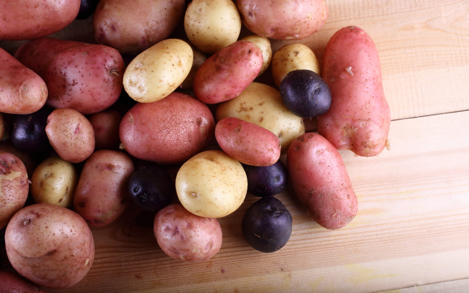 Quelle variété de pomme de terre convient à quel plat ?