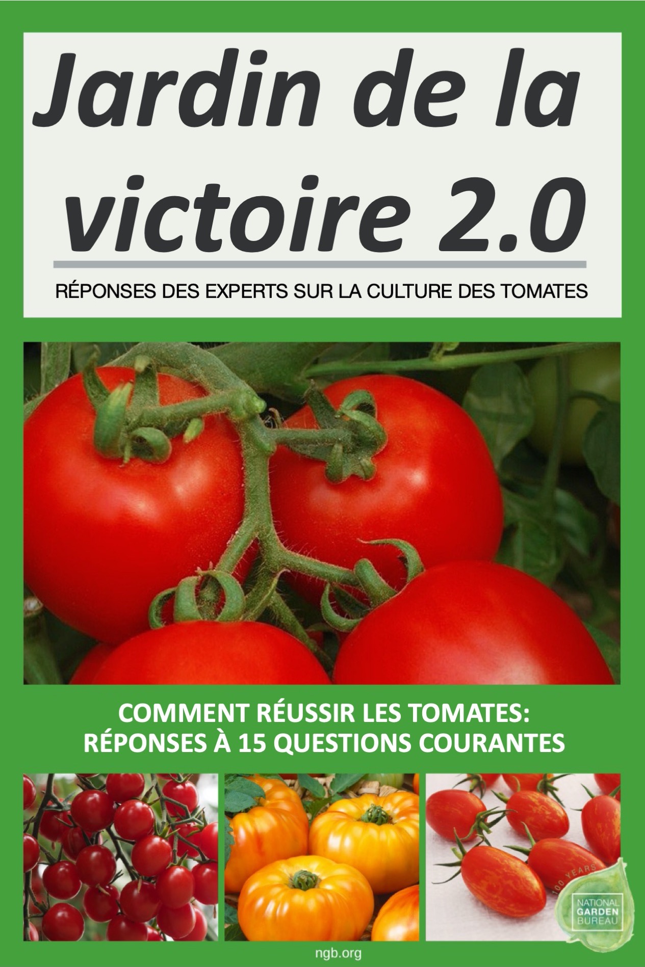 Réponses à 15 questions sur la culture des tomates