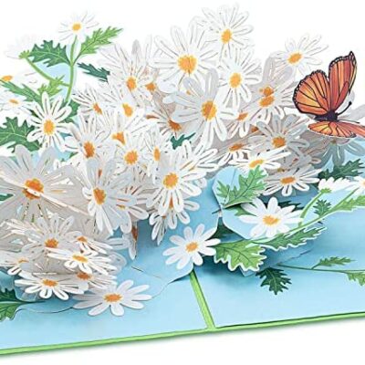 papercrush® Pop-Up Card Mother's Day Flowers "Daisies with Butterfly" - Carte de fleurs 3D pour femmes (carte d'anniversaire, bon rétablissement, bon) - carte de rétablissement pour collègues et employés