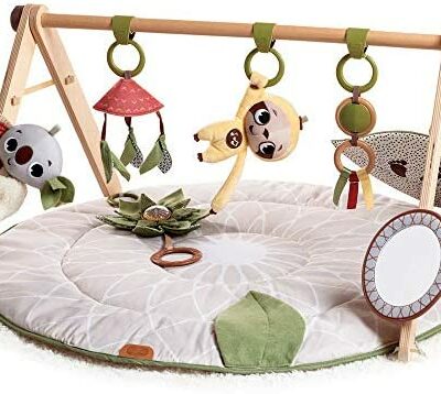 Tiny Love Boho Chic Tapis d'activités, tapis de jeu bébé, arche de jouet en bois, dès la naissance