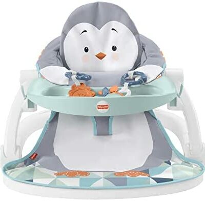 Fisher-Price Siège d'activité pliable, siège de sol portable pour bébé avec 2 jouets d'activité et plateau amovible, jusqu'à 11,3 kg, HBF27