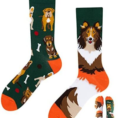 TODO Colors Fantaisie Chaussettes un Chien Femme Homme - Dogs Life - Humour Coloré Animaux