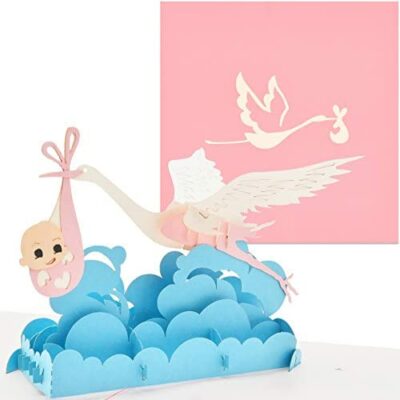 PaperCrush® Baby Girl Pop Up Card - Carte de naissance 3D - Carte de félicitations pour bébé - Carte cadeau faite à la main - Carte de bébé, Carte pop up avec cigogne