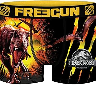 FREEGUN Boxer pour homme Anti-transpirant Sous-vêtement pour homme Jurassic World Stretch Durable