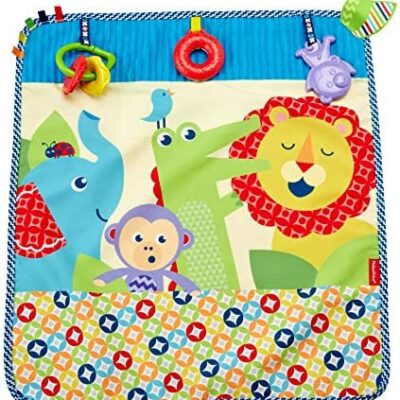 Couverture Fisher-Price de la naissance à l'occupation des bébés, des jouets et des textures amusantes, DYW52