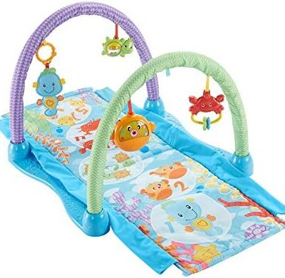 Fisher-Price Seahorse Tapis d'activité et de jeu musical pour bébé 2 en 1, jouet animal marin suspendu, tunnel de marche, dès la naissance, DRD92 [Exclusif Amazon]